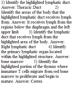 Lab Assignment 4